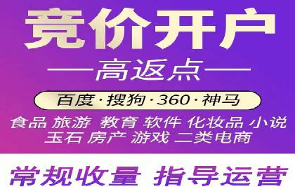 某品牌通过百度竞价提升线上销售业绩的案例